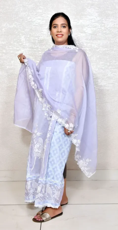 Sky Blue  Kota Doria Suit with Intricate White Thread Embroidery